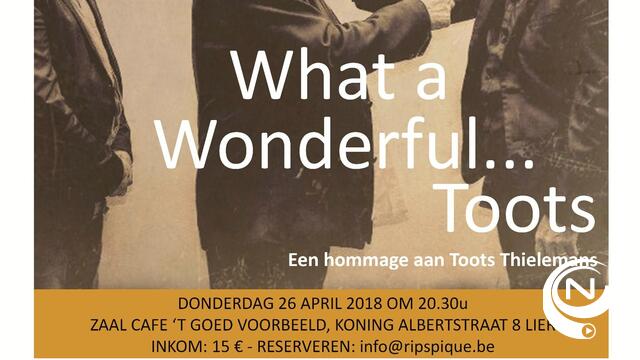 Ripspiqué Lier presenteert What a wonderful... Toots