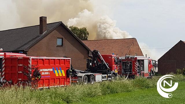 Bliksem zet loods in vuur en vlam in Hoeven Kasterlee 