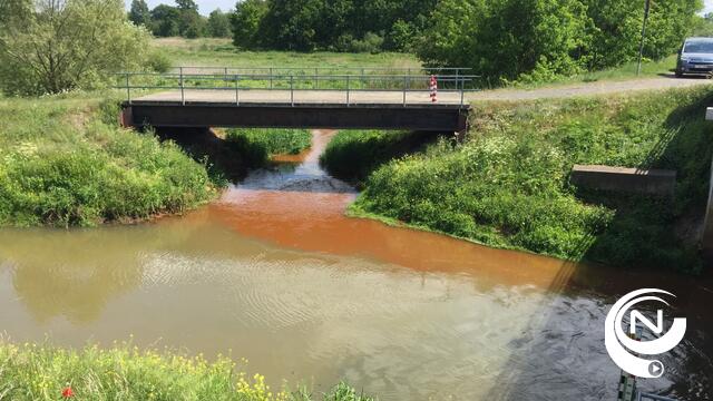 Internationale Dag van Biodiversiteit: 'Onze zeer vervuilende Laak in de kijker...'