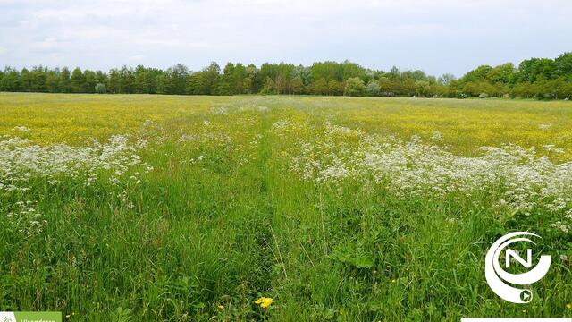 Wandelpad natuurgebied De Maat tijdelijk afgesloten voor natuurherstelwerken