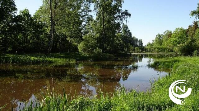 Natuurherstel in natuurgebied De Roost