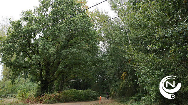 Kanaaldijk en bomenrij De Roest opnieuw eigendom stad