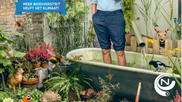 Dikketruiendag 2020: Meer biodiversiteit helpt het klimaat!