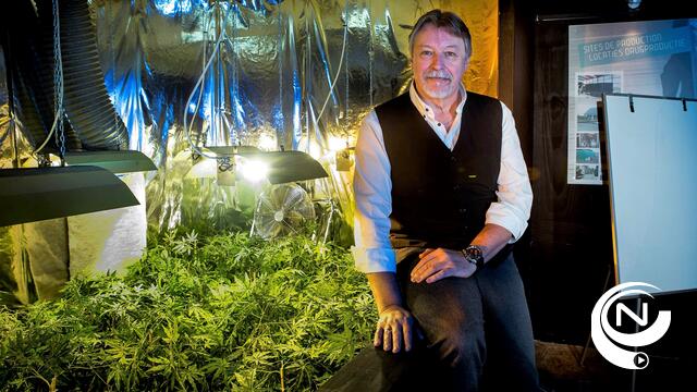 Drugsdelicten in de Kempen stijgen met 10% over laatste 4 jaar