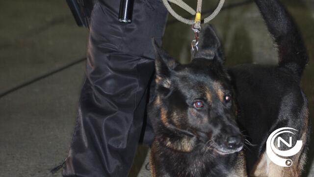 5 arrestaties in onderzoek naar invoer van 5 ton drugs in Antwerpse haven : ook huiszoeking in Lille