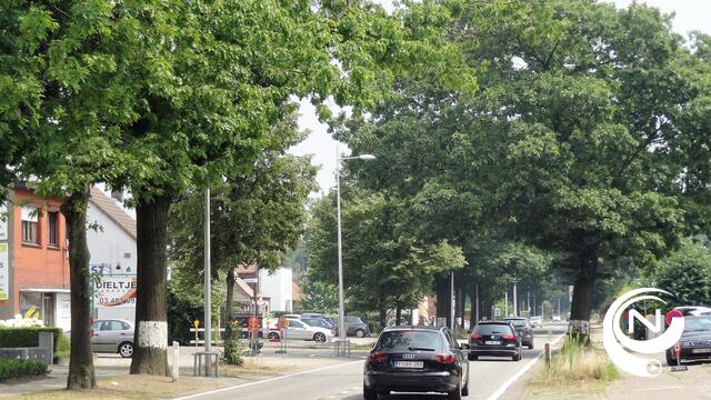 N13 afgesloten in Nijlen voor onderhoudswerken aan bomen naast de baan 