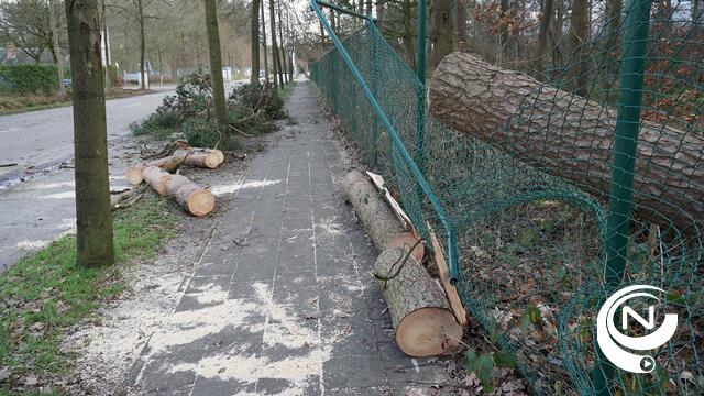 Stormweer - brandweer Kempen actie in Herentals (4)