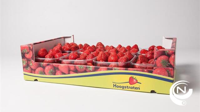 Veiling Hoogstraten rondt kaap af van 30 miljoen kg aardbeien