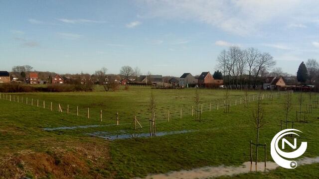 Vijfduizend bomen en struiken aangeplant in Dwergenbos
