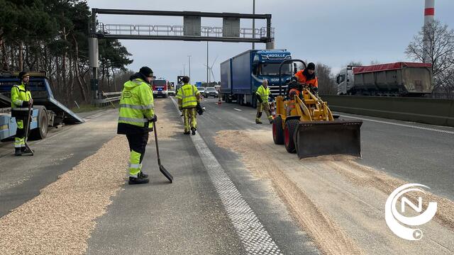 E313 : tapijt van 250 m verloren houtpellets, grote verkeershinder bij Herentals-West Grobbendonk - extra foto's