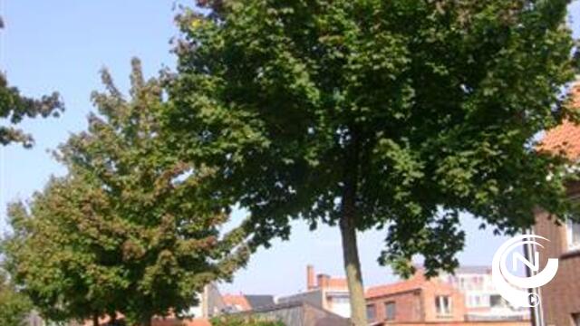 Herentals verbreedt sommige voetpaden in stadscentrum 