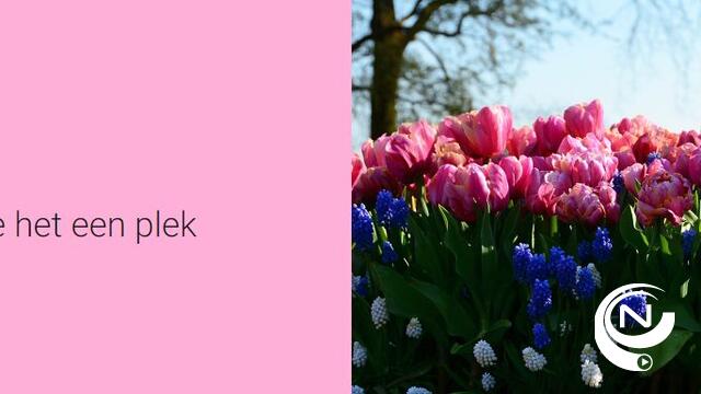 Ferm Bevel plant troost - Opening troostplek op zondag 30 mei