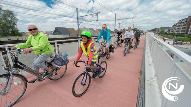 Omleiding fietsers Geelseweg (N13)