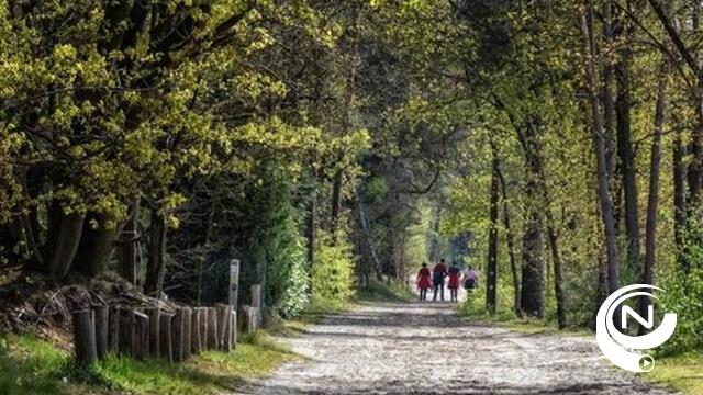Kempens Landschap koopt 3 nieuwe bospercelen in Geel-Bel aan