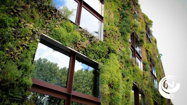Gevelbeplanting mag in Vorselaar