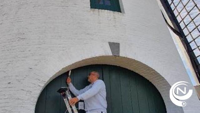 Windmolen Gierle opnieuw oogverblindend mooi