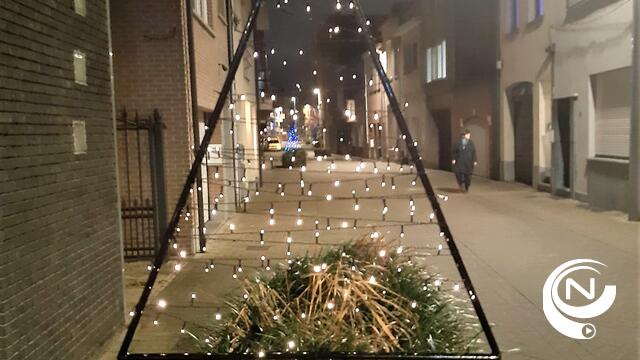 Brutale dieven stelen metalen kerstbomen in Goudbloemstraat - UPDATE