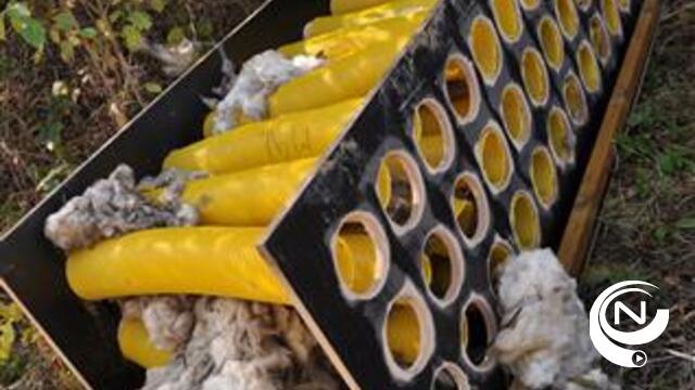 Vandalen vernielen oeverzwaluwwand langs Albertkanaal in Grobbendonk