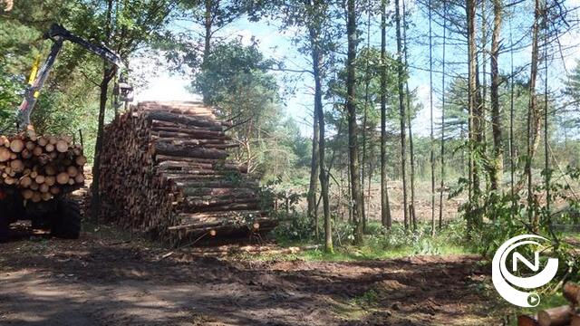 Herstelwerken Heiberg schieten goed op