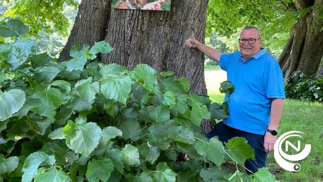 Cursisten Fotografie CVO HIK stellen foto's tentoon in openlucht Torenhof