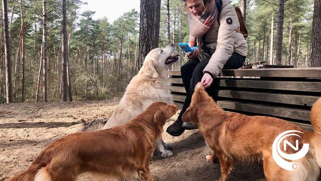 'Vergiftiging gezelschapsdieren: opgelet met allerhande gif'