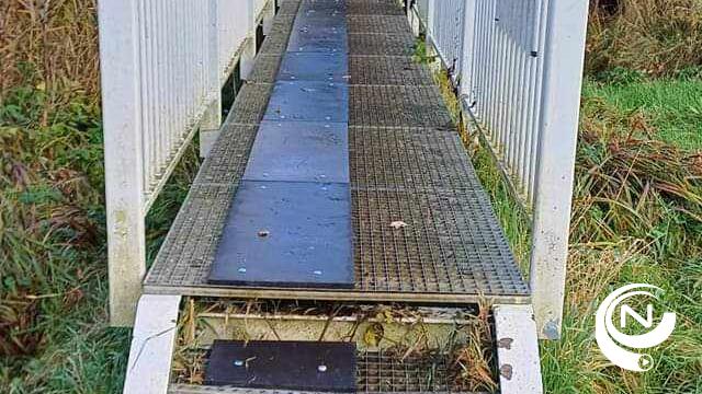 Hondenmatten VMM doorsteekbrug Ringlaan