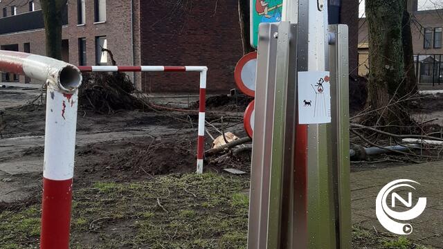 Lille plaatst zuilen voor hondenpoep