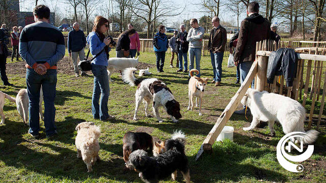 Hondenlosloopweide aan Hellekens