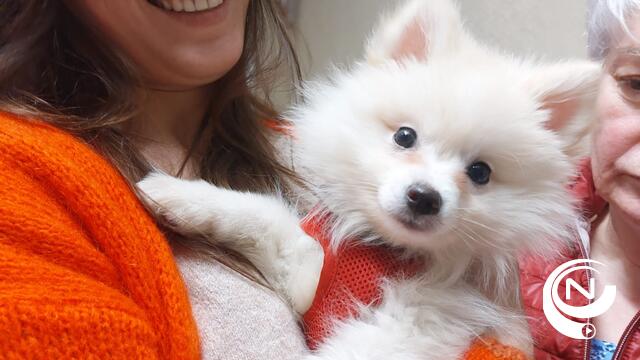 Hond Lex 300 dagen na diefstal in Antwerpse supermarkt teruggevonden bij dakloze in Parijs: "In een nanoseconde sprong hij naar ons toe"