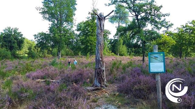 Scherpenbergen-De Hutten is wandeling van het jaar