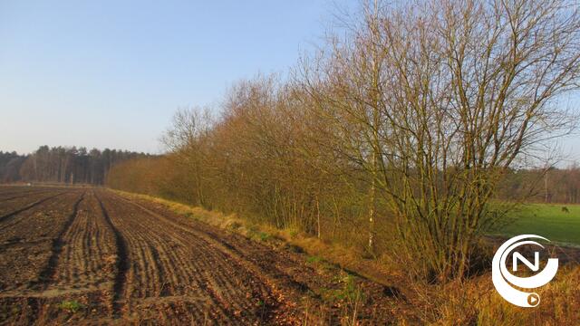 Regionaal Landschap Kleine en Grote Nete genomineerd voor Europese plattelandsprijs
