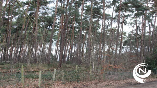 Dunningskap in bossen aan Heistraat
