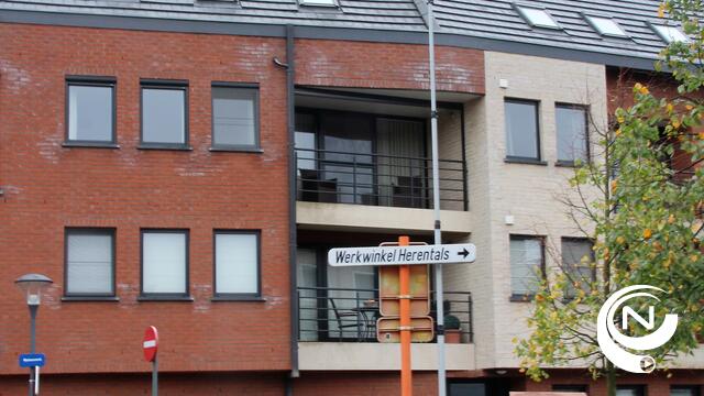 N-VA bevraagt bewoners Molenvest