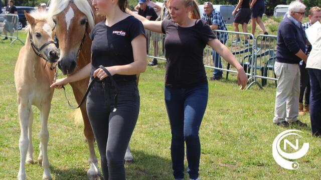 61e Veeprijskamp onder stralende zon en een buitje blijft educatief familiefeest : 'De dieren in het écht'