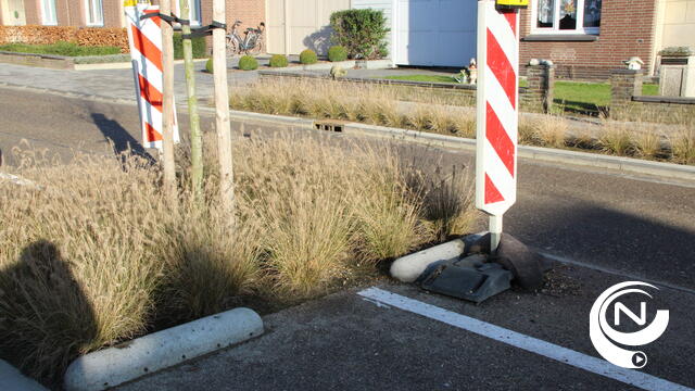 Fietsroosters in plantvakken Engelse Wijk