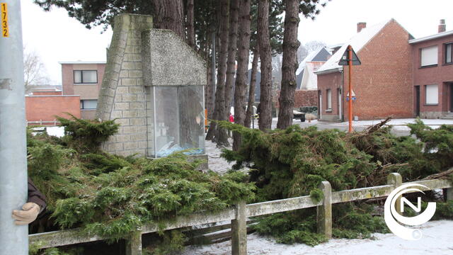 Vandalen vernielen kapelletje Hellekensstraat