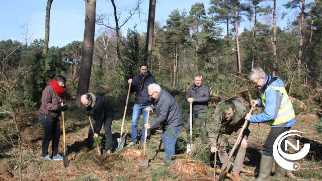 N-VA - Open Vld Kasterlee planten bomen als protest tegen kaalkap