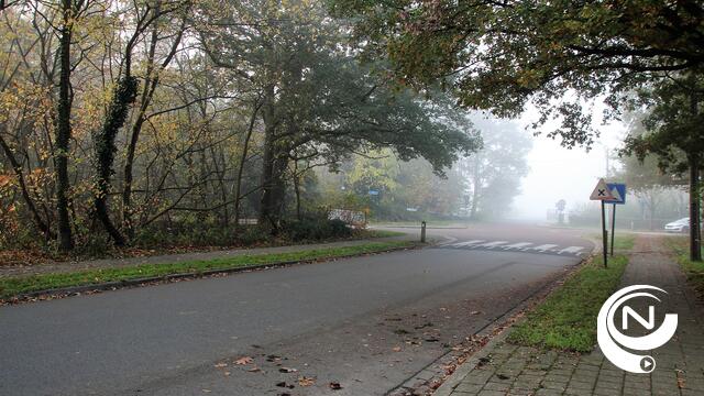Els Sterckx : 'Dynamische knip Wuytsbergen-Ekelstraat: kinderziektes, maar hopelijk niet afgeschreven'