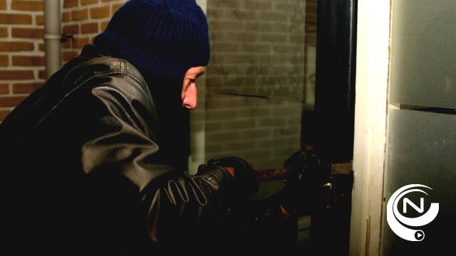 Woninginbraak in  Keulemansstraat Herenthout : kluis meegenomen