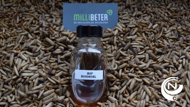 Opstart Kempen Insect Cluster