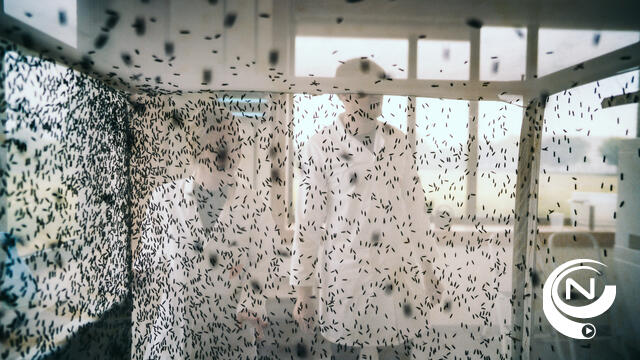 Praktijkcentrum Insecten van Thomas More Geel tilt insectenteelt in Vlaanderen naar hoger niveau