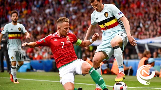 EK drama : Jan Vertonghen enkel omgeslagen, niet meer in actie 