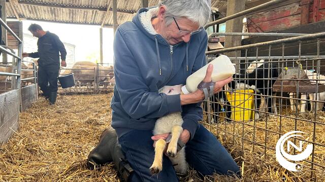 Thomas More : 'Mensen met kanker revalideren op de boerderij'