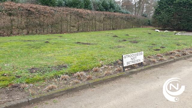 Strooiweide