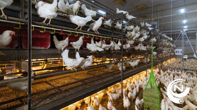 Proefbedrijf Pluimveehouderij bundelt samen met 10 projectpartners krachten in Interreg Noordwest-Europaproject OMELETTE