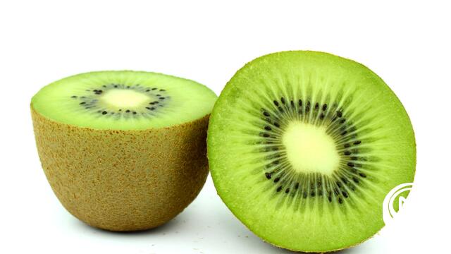 Vlaamse darmspecialist en diëtist raden groene kiwi al jaren aan bij darmproblemen: "Effect op stoelgang is écht"