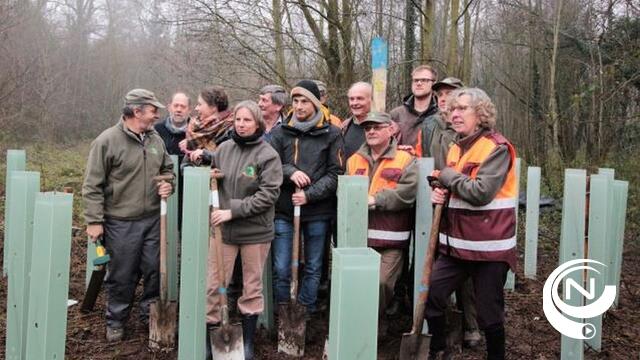 1000e kloemp in Laakdal dankzij Bosgroep Zuiderkempen