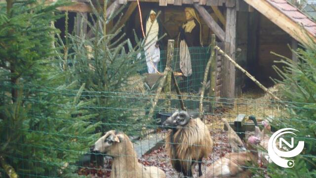Ga op Kempense kerststalexpeditie met gratis app en routeplanner