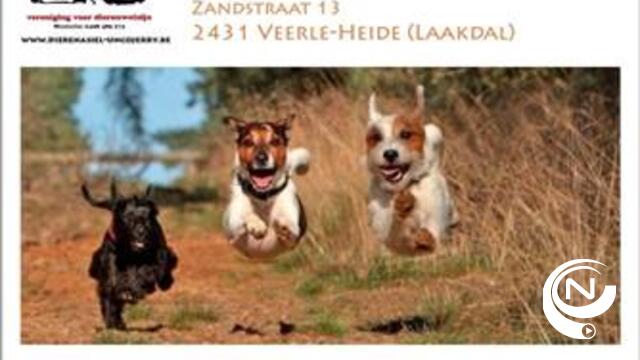 Kom op zondag 11/5 wandelen t.v.v. dierenasiel Unco-Jerry Westerlo