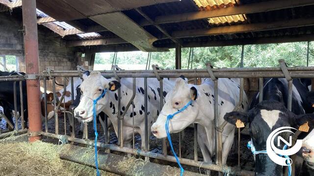 Jonge boeren juichen niet, maar zien stappen vooruit in 3e stikstofakkoord